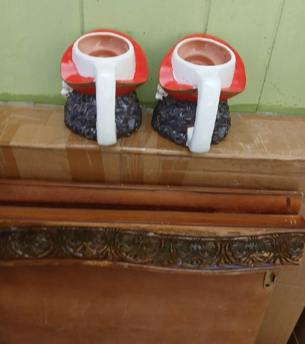Ceramic Mugs Pair